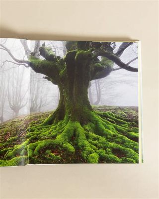  The Hidden Life of Trees: Een meeslepende reis door de geheimen van het Spaanse bos